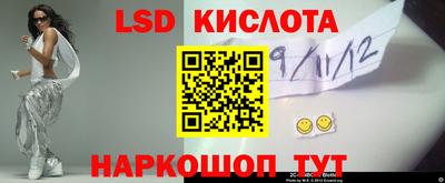 стафф Кандалакша
