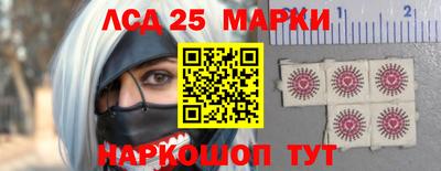 стафф Кандалакша