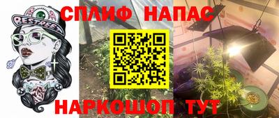 МДПВ Канаш