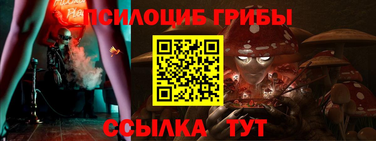 Псилоцибиновые грибы Cubensis Магнитогорск